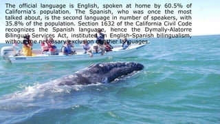 California | PPTX