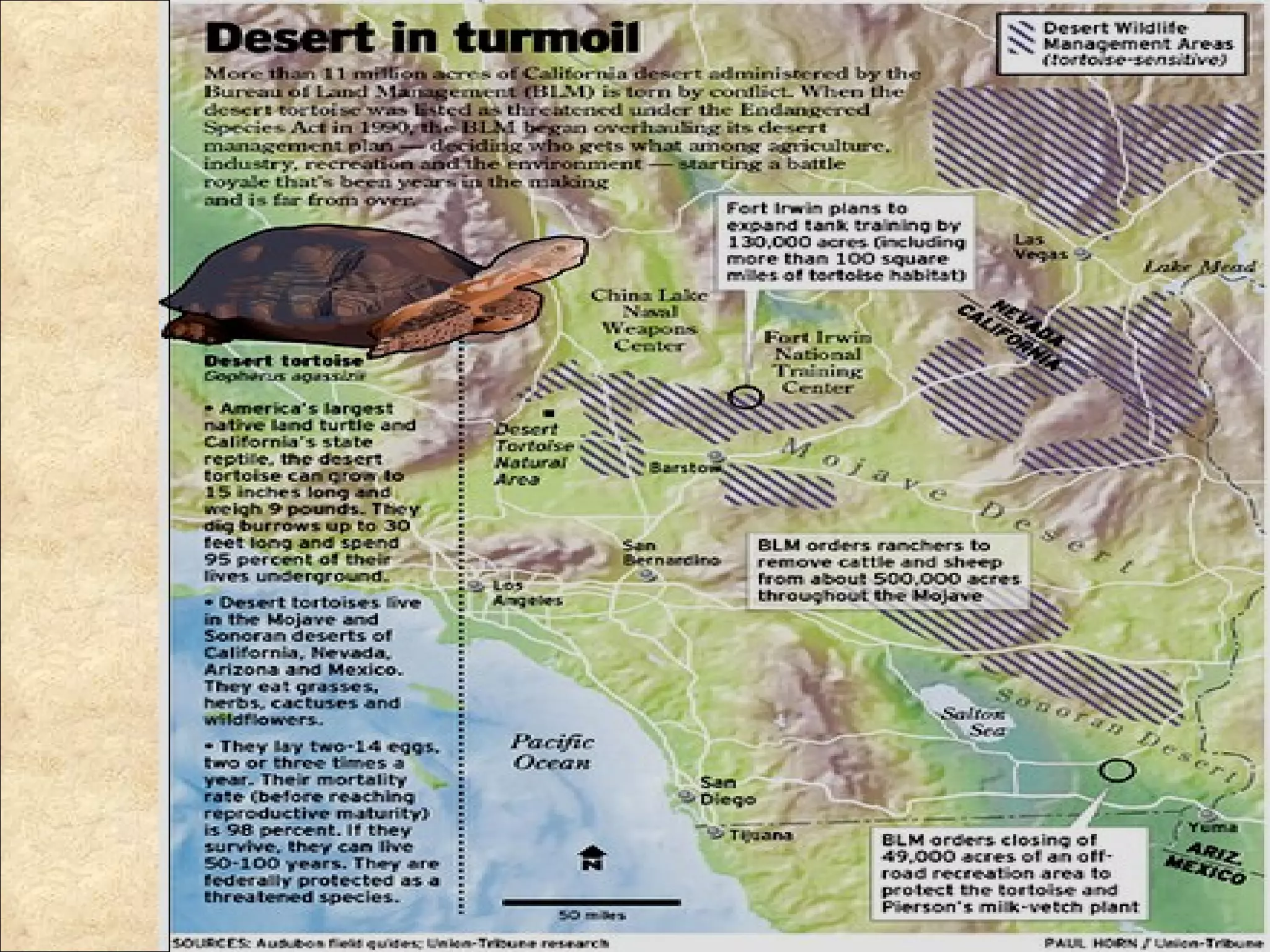 Tortoise Map California Desert Tortoise | PPT