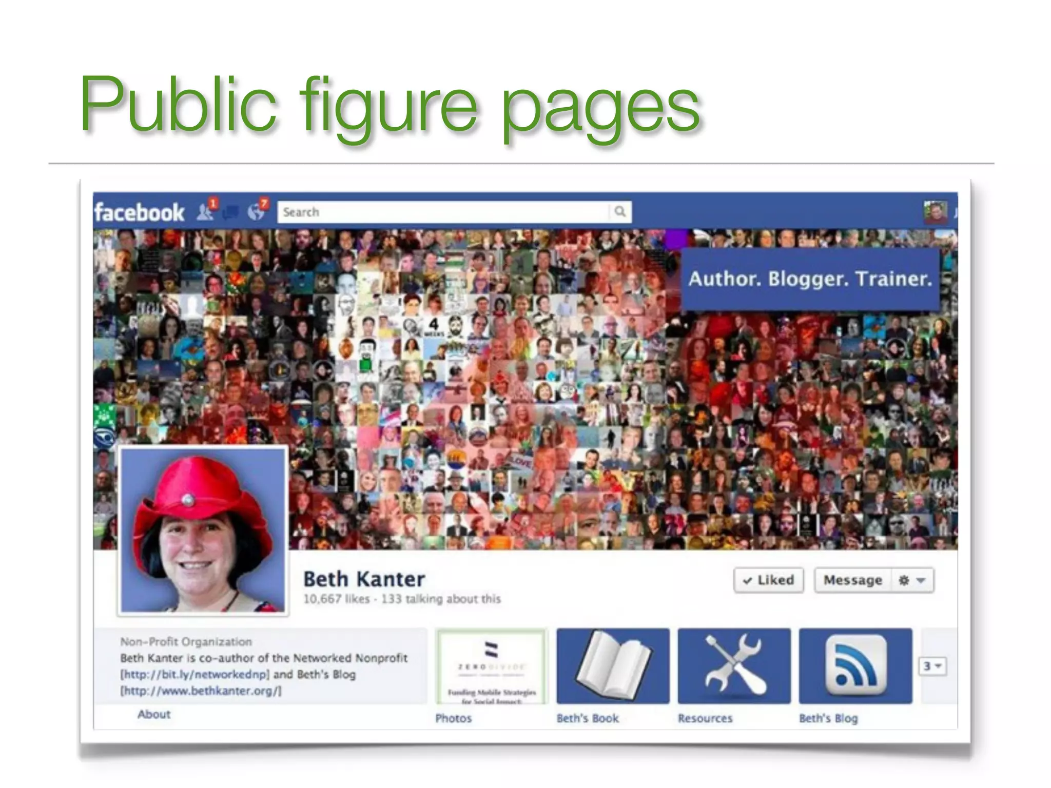 Public ﬁgure pages
 