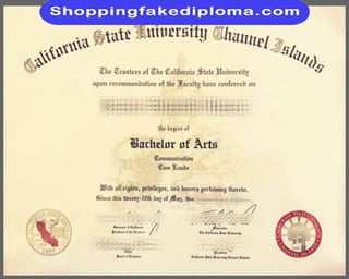 California State University Channel lslands fake degree from shoppingfakediploma.com