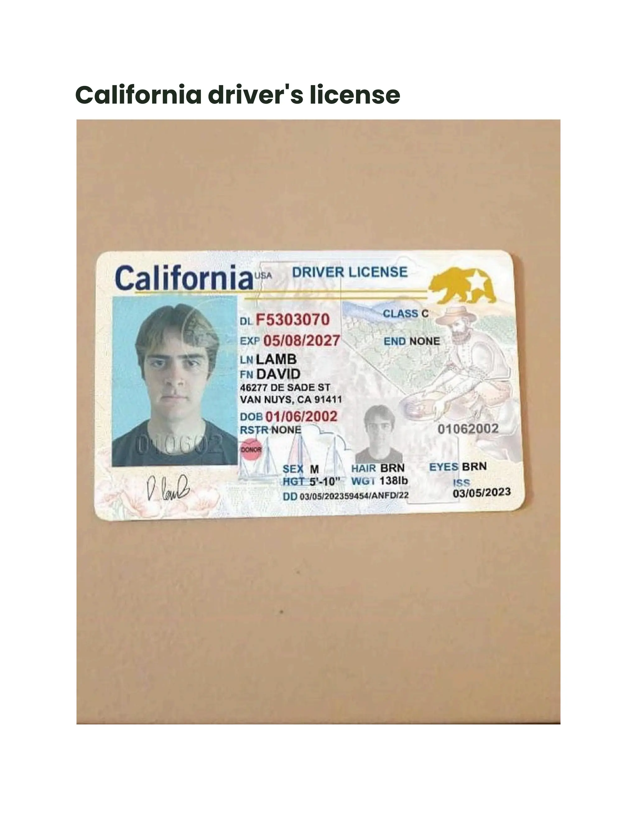 California driver's license and how to obtain it.pdf