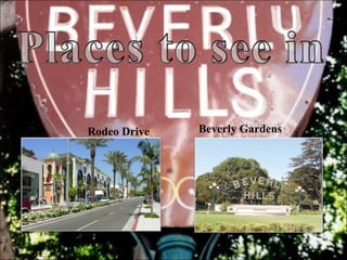 Rodeo Drive Beverly Gardens 
