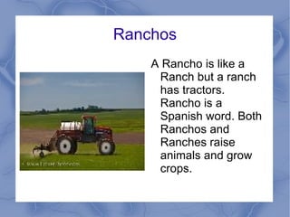 Ranchos A Rancho is like a Ranch but a ranch has tractors. Rancho is a Spanish word. Both Ranchos and Ranches raise animals and grow crops.  