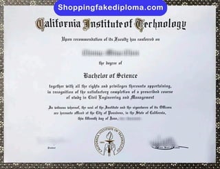 California Institute of Technology fake degree from shoppingfakediploma.com