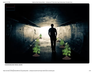 6/6/22, 4:31 PM California Now Growing Weed....Underground? Police Bust Huge Subterranean Cannabis Grow
https://cannabis.net/blog/news/california-now-growing-weed....underground-police-bust-huge-subterranean-cannabis-grow 2/16
UNDERGROUND WEED GROW
lif i i
 Edit Article (https://cannabis.net/mycannabis/c-blog-entry/update/california-now-growing-weed....underground-police-bust-huge-subterranean-cannabis-grow)
 Article List (https://cannabis.net/mycannabis/c-blog)
 