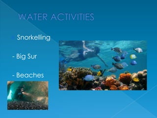 

Snorkelling

- Big Sur
- Beaches

 