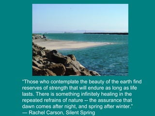 “Those who contemplate the beauty of the earth find
reserves of strength that will endure as long as life
lasts. There is something infinitely healing in the
repeated refrains of nature -- the assurance that
dawn comes after night, and spring after winter.”
― Rachel Carson, Silent Spring

 