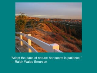 “Adopt the pace of nature: her secret is patience.”
― Ralph Waldo Emerson

 
