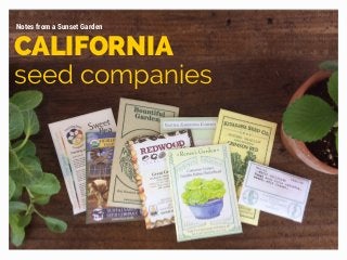 CALIFORNIA
seed companies
Notes from a Sunset Garden
 
