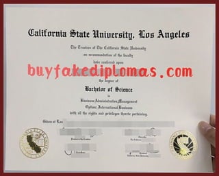 buy fake diploma, California State University Los Angeles Degree form buyfakediplomas.com