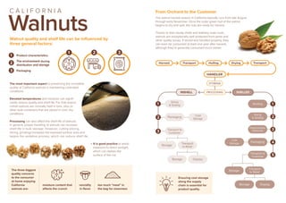 California Walnuts Handling & Storage Standards for Quality Walnuts in ...