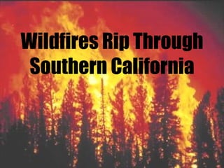 Wildfires Rip Through Southern California 