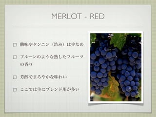 MERLOT - RED
 