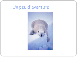 …  Un peu d'aventure 