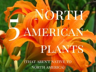 North
American
plants
(that aren't native to
north america)
5
 