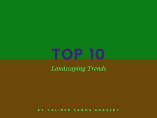 TOP 10
Landscaping Trends
B Y C A L I P E R F A R M S N U R S E R Y
 