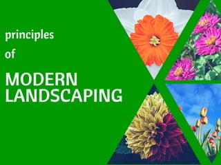 Principles of Modern Landscaping Design