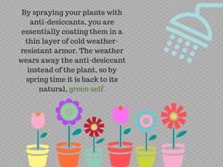 An Intro to Anti Desiccants | PDF | Gardening | Home & Garden