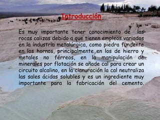 Es muy importante tener conocimiento de las
rocas calizas debido a que tienen empleos variados
en la industria metalúrgica, como piedra fundente
en los hornos, principalmente en los de hierro y
metales no férreos, en la manipulación de
minerales por flotación se añade cal para crear un
circuito alcalino, en la cianuración la cal neutraliza
las sales ácidas solubles y es un ingrediente muy
importante para la fabricación del cemento.
Introducción
 