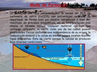 Modo de formación
La caliza es una roca compuesta por lo menos del 50% de
carbonato de calcio (CaCO3), con porcentajes variables de
impurezas, se forma bien por medios inorgánicos o bien por
resultado de procesos bioquímicos, en su interpretación más
amplia, el término incluye cualquier material calcáreo que
contenga carbonato de calcio, Cada uno de los cuales poseen
propiedades físicas distintas, con independencia de su origen, la
composición mineral a la caliza es similar aunque existen muchos
tipos diferentes. Esto es cierto porque la calizas se producen
bajo diversas condiciones.
 