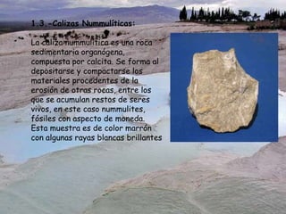 1.3.-Calizas Nummulíticas:
La caliza nummulítica es una roca
sedimentaria organógena,
compuesta por calcita. Se forma al
depositarse y compactarse los
materiales procedentes de la
erosión de otras rocas, entre los
que se acumulan restos de seres
vivos, en este caso nummulites,
fósiles con aspecto de moneda.
Esta muestra es de color marrón
con algunas rayas blancas brillantes
 