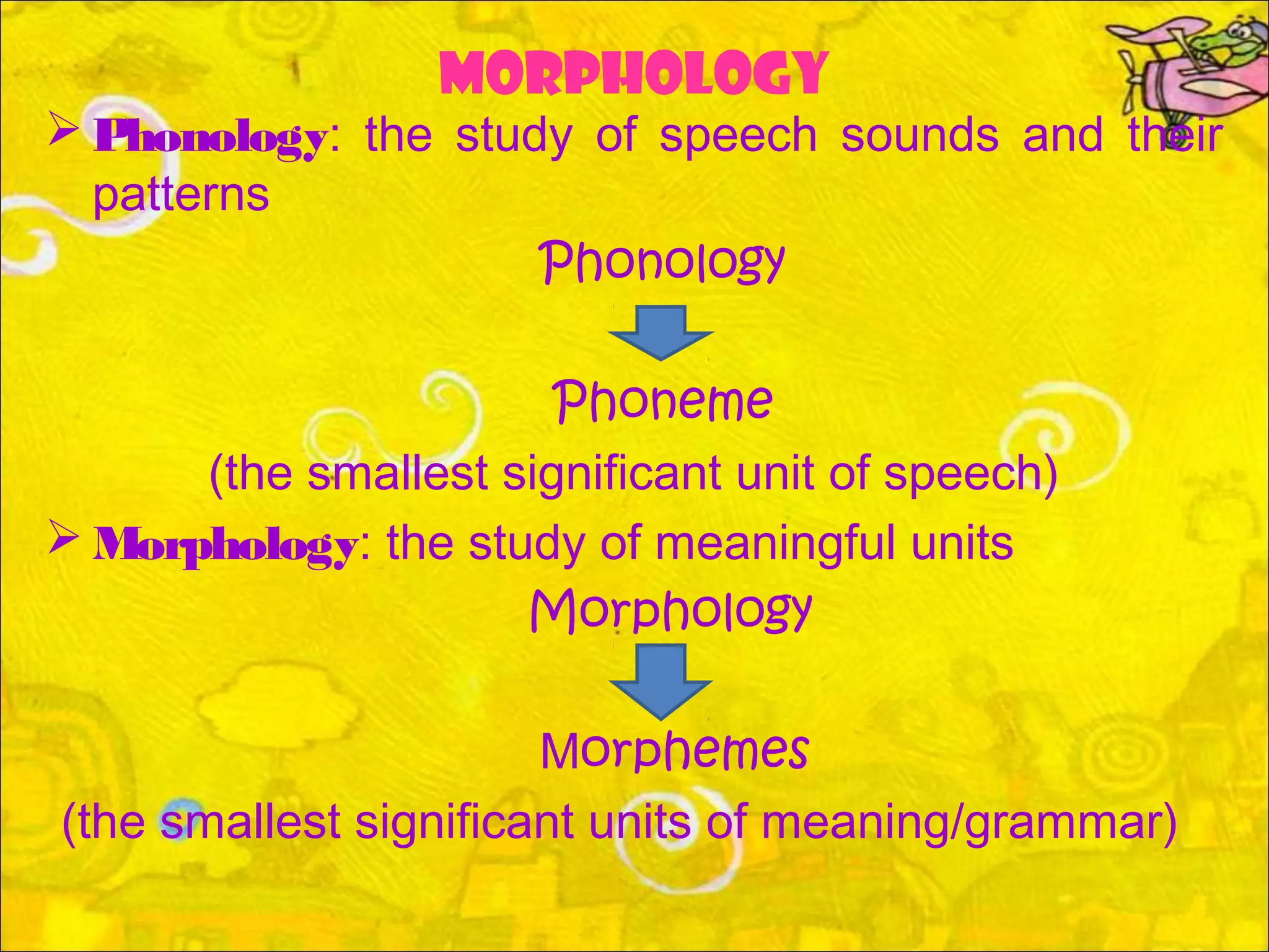 MORPHOLOGY
 Phonology: the study of speech sounds and their
patterns
Phonology
Phoneme
(the smallest significant unit of speech)
 Morphology: the study of meaningful units
Morphology
Morphemes
(the smallest significant units of meaning/grammar)
 