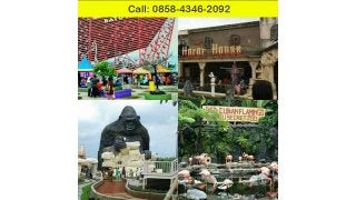 0858 4346-2092 (indosat),Villa Batu Malang Kolam Renang
