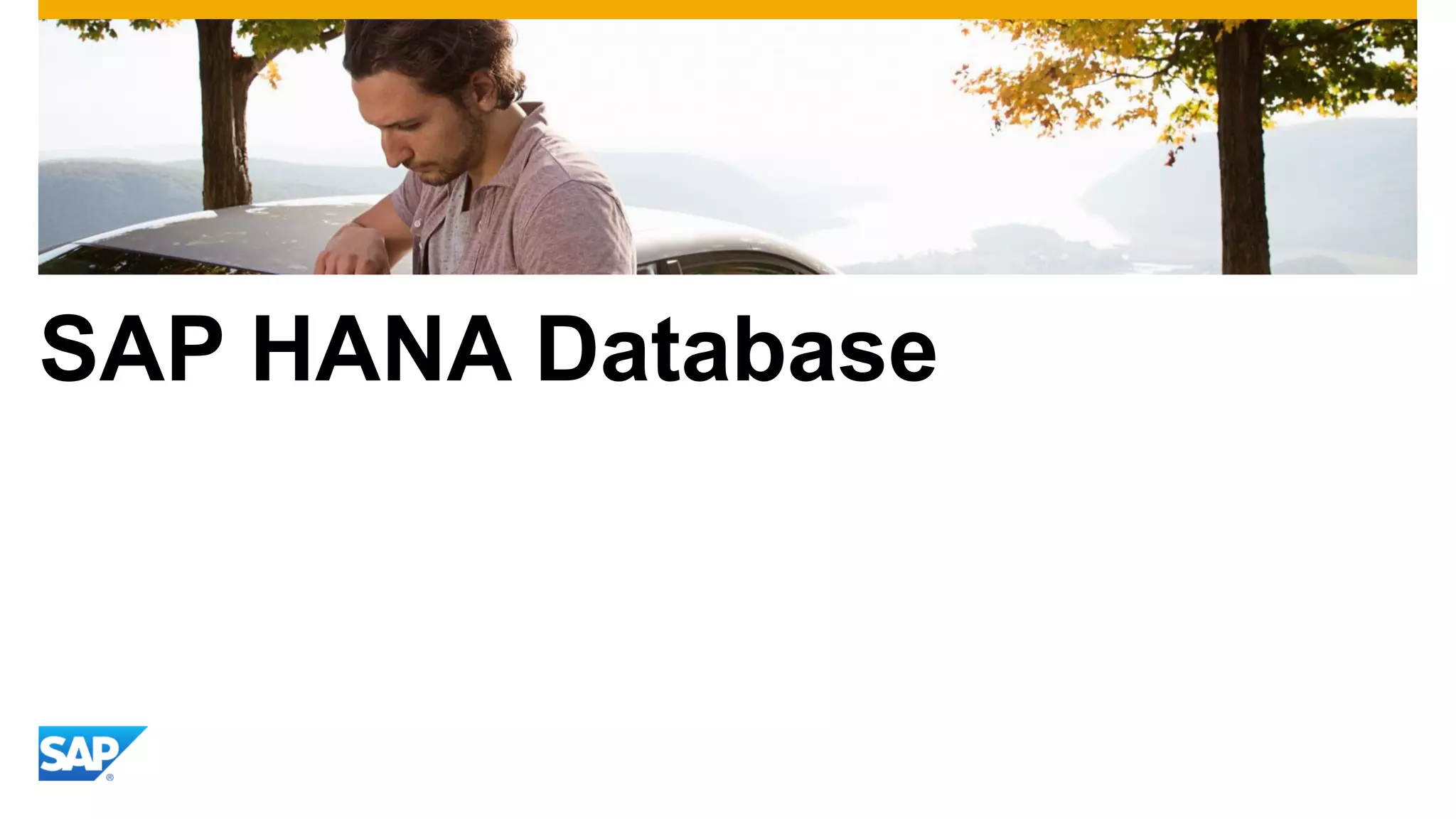 SAP HANA Database
 