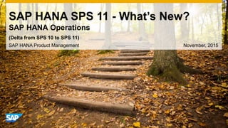 SAP HANA SPS 11 - What’s New?
SAP HANA Operations
SAP HANA Product Management November, 2015
(Delta from SPS 10 to SPS 11)
 