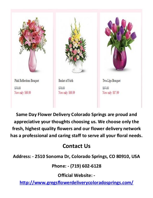 snooze colorado springs delivery snooze colorado springs delivery