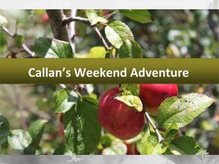 Callan’s Weekend Adventure 