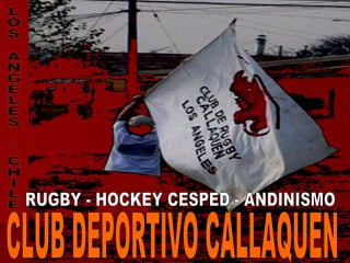 CLUB DEPORTIVO CALLAQUEN LOS ANGELES - CHILE RUGBY - HOCKEY CESPED - ANDINISMO 