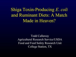 Shiga Toxin-Producing E. coli
and Ruminant Diets: A Match
Made in Heaven?
Todd Callaway
Agricultural Research Service/USDA
Food and Feed Safety Research Unit
College Station, TX
 