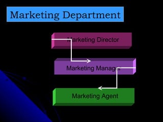 Marketing Department Marketing Director Marketing Manager Marketing Agent 