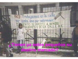 ¿Tienen ya estos pequeños su destino marcado?   