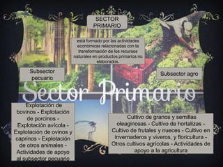 SECTOR
PRIMARIO
está formado por las actividades
económicas relacionadas con la
transformación de los recursos
naturales en productos primarios no
elaborados.
Subsector
pecuario
Subsector agro
Cultivo de granos y semillas
oleaginosas - Cultivo de hortalizas -
Cultivo de frutales y nueces - Cultivo en
invernaderos y viveros, y floricultura -
Otros cultivos agrícolas - Actividades de
apoyo a la agricultura
Explotación de
bovinos - Explotación
de porcinos -
Explotación avícola -
Explotación de ovinos y
caprinos - Explotación
de otros animales -
Actividades de apoyo
al subsector pecuario
 