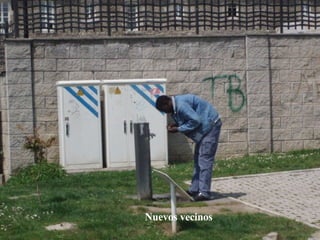 Nuevos vecinos 