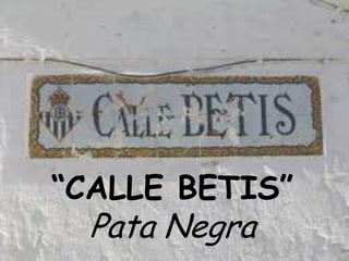 “CALLE BETIS”

Pata Negra

 