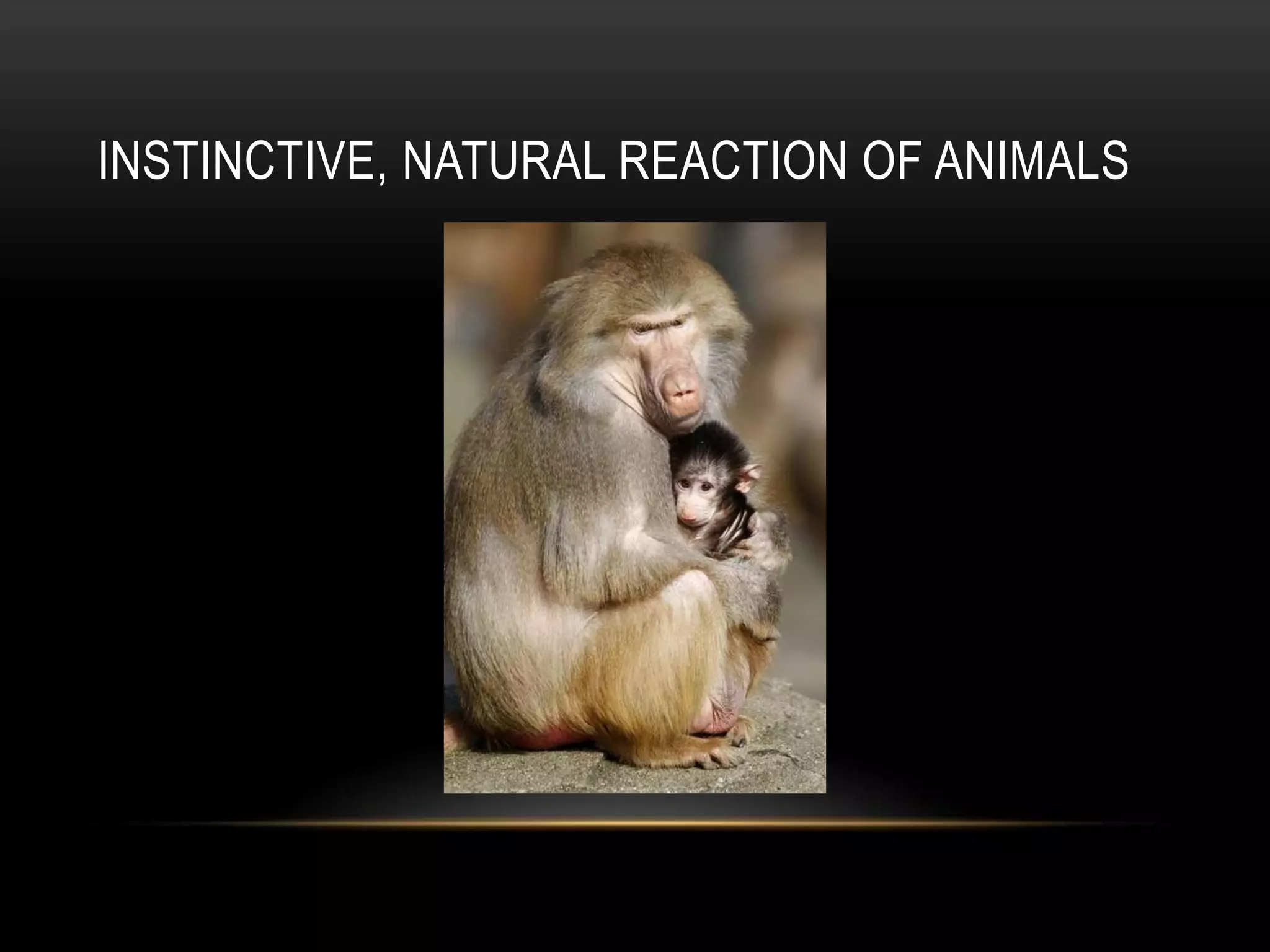 INSTINCTIVE, NATURAL REACTION OF ANIMALS

 