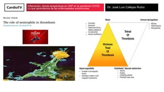 Inflamación, dianas terapéuticas en HAP en la pandemia COVID.
Lo que aprendemos de las enfermedades autoinmunes Dr. José L...