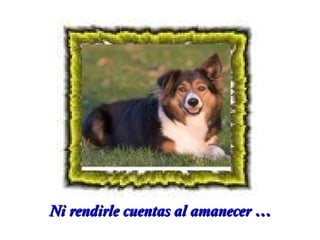 Ni rendirle cuentas al amanecer …

 