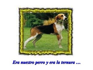 Era nuestro perro y era la ternura …

 