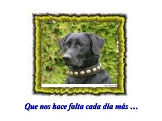 Que nos hace falta cada día más …

 