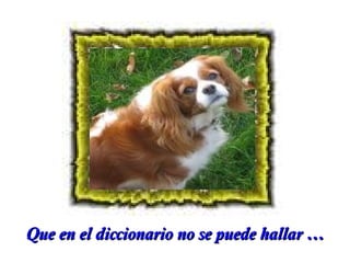 Que en el diccionario no se puede hallar …

 