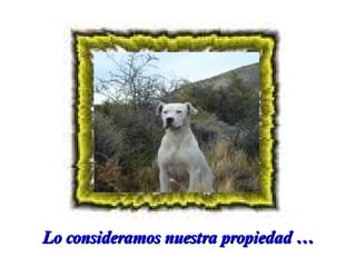 Lo consideramos nuestra propiedad …

 