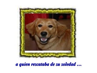 a quien rescataba de su soledad …

 