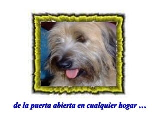 de la puerta abierta en cualquier hogar …

 