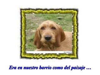 Era en nuestro barrio como del paisaje …

 