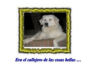 Era el callejero de las cosas bellas …

 