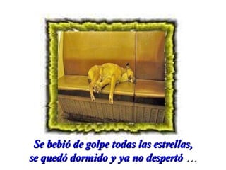 Se bebió de golpe todas las estrellas,
se quedó dormido y ya no despertó …

 
